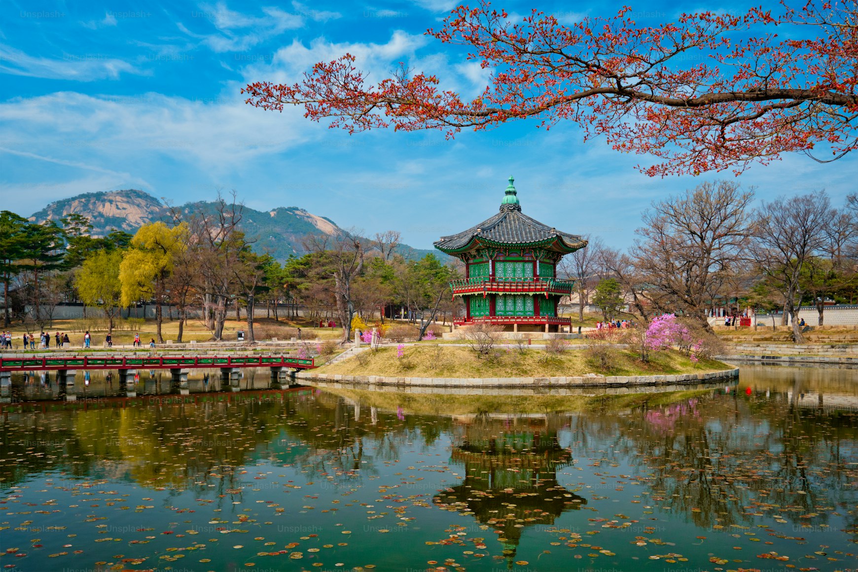 국내 투어